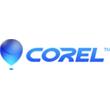 Corel Academic Site License Level 4 Buy-out Standard