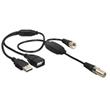 Delock Antenna Cable F Jack > F Plug with phantom power 5 V via USB 22 cm