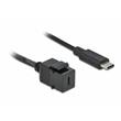 Delock Keystone modul USB 3.0 C samice > USB 3.0 C samec s kabelem