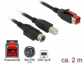 Delock PoweredUSB kabel samec 24 V > USB Typ-B samec + Hosiden Mini-DIN 3 pin samec 2 m pro POS tiskárny a terminály