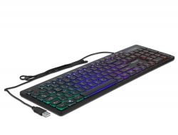 Delock USB klávesnice, drátová, 1,5 m, černá s RGB osvětlením