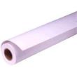 EPSON paper roll - 260g/m2 - 16" x 30,5m - photo premium glossy