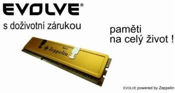EVOLVEO Zeppelin DDR II 4GB 800MHz KIT 2x2GB, GOLD