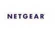 Netgear NMS300 200 DEVICE ELEC LICENSE