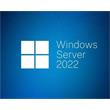 OEM Windows Server CAL 2022 CZ 1 User CAL